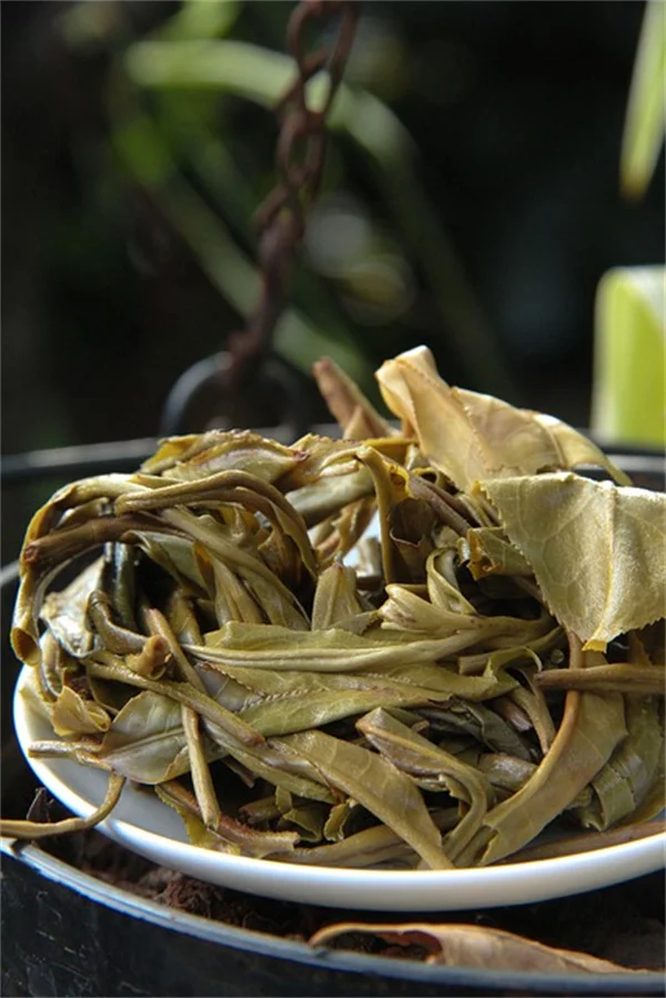 枯れ枝や落ち葉をそのままに！冬の庭でできる「蜂のホテル」の作り方