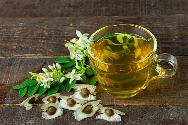 赤いポピーはなぜ戦没者の記憶の花？歴史と育て方を私が解説